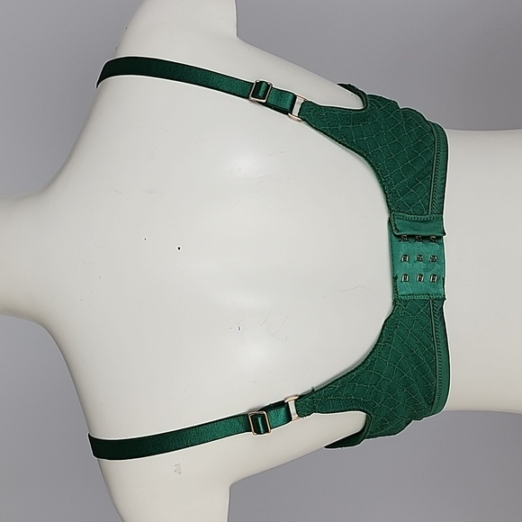 ⭐️2/ $30⭐️ Aerie Green Lace Bra Rose Gold Hardware Size 34DD - Picture 3 of 8